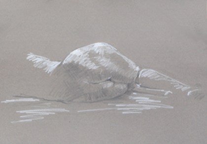 Figure Drawing #32. Pencil and white conté pencil on warm gray pastel paper.